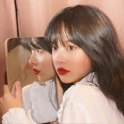 虎尾兰之梦