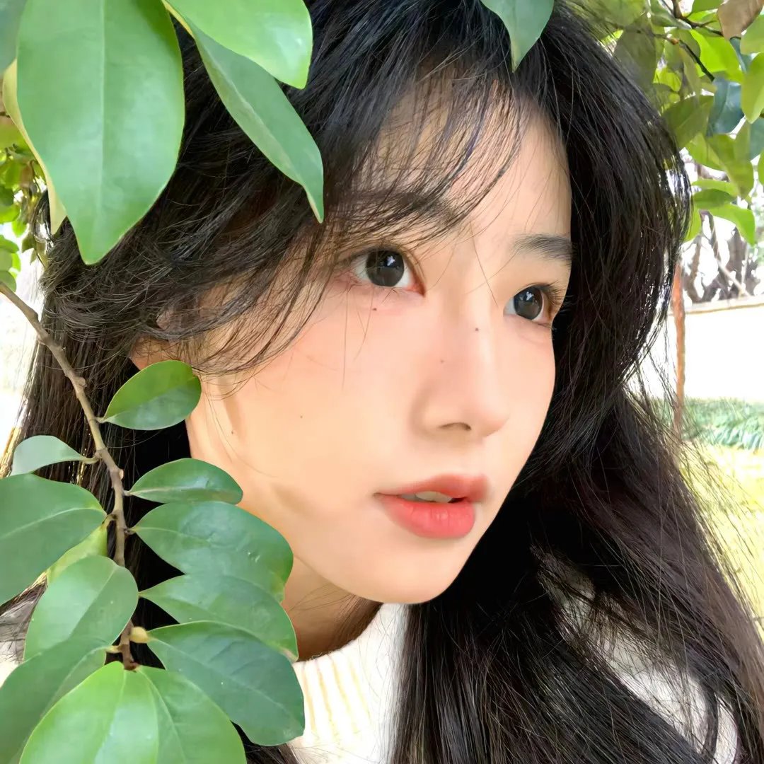 芫荽与欧芹